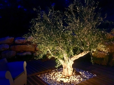 JARDIN-MIS-EN-LUMIERE-GRAMBOIS-VAUCLUSE-AVIGNON-AIX-EN-PROVENCE-LIGHT-DESIGN-OUTDOOR-OLIVIER-CHENES-VERTS-ECLAIRAGE-EXTERIEUR-2019-1-1024x768